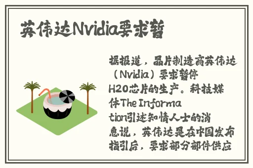 黑土腿法娴熟脚法精湛视频教学下载